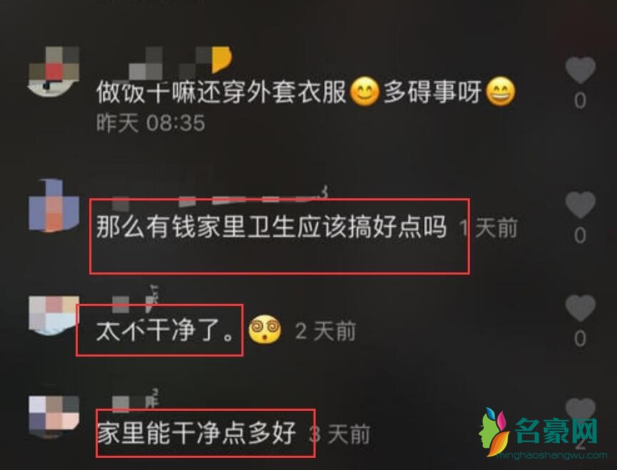 网友的评论截图