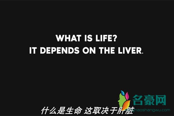 印度调音师生命是什么，生命取决于肝脏什么意思