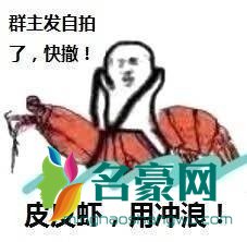 皮皮虾我们走表情包