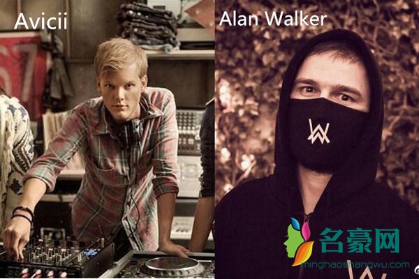 alan walker去世是怎么回事 alan walker是男是女