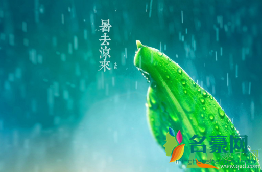 立秋有雨好还是无雨好3