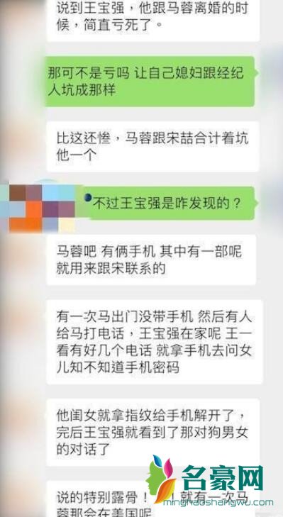 王宝强马蓉离婚内幕