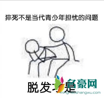 脱发表情包