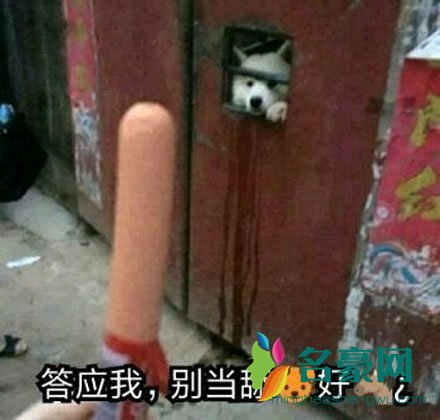 舔狗表情包