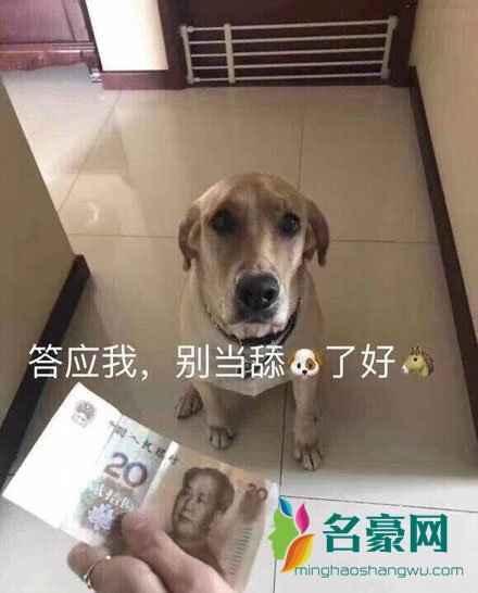 舔狗表情包