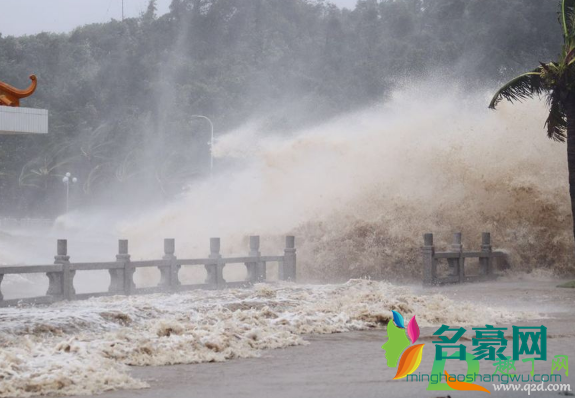 2020年台风比2019年台风多吗2