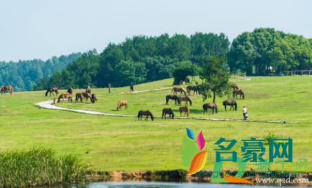 湖北A级景区免门票原因2