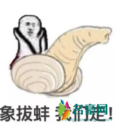 象拔蚌我们走