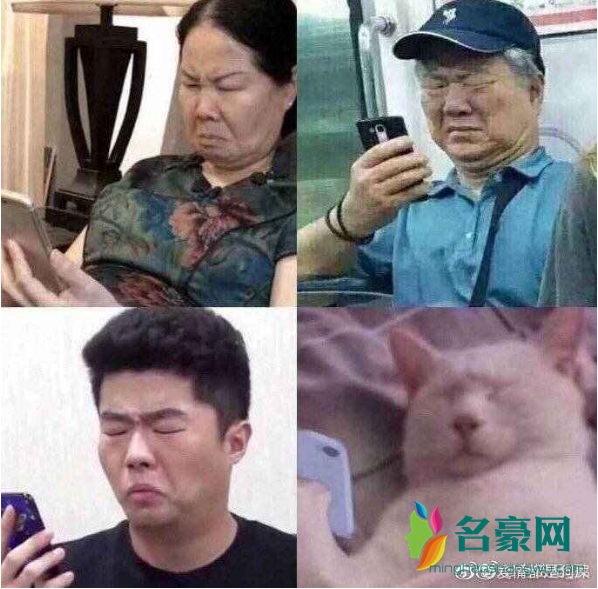 叠杀人书是什么梗 叠杀人书是什么意思2