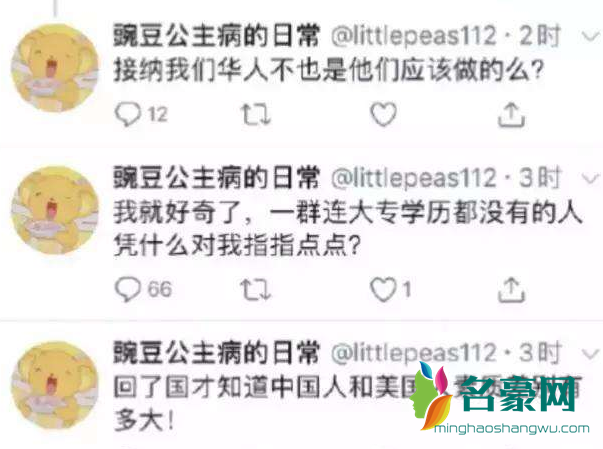 豌豆公主病是什么意思2