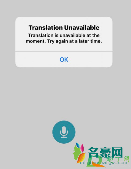 ios14翻译目前不可用怎么回事2