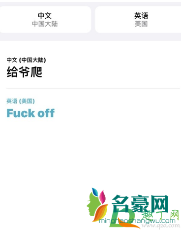 ios14翻译目前不可用怎么回事3