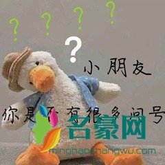 小朋友你是否有很多问号是什么梗2