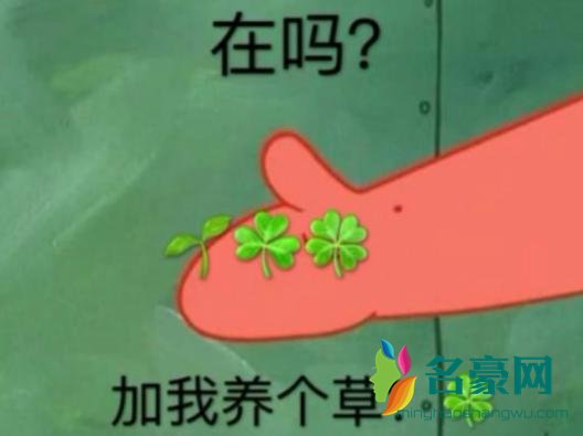 网络用语养草是什么意思