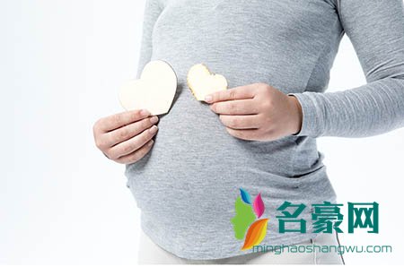 饭圈狗爱豆是什么意思