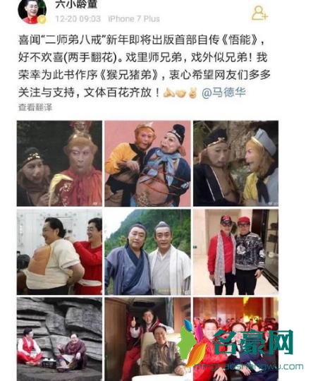 文体两开花是什么意思什么梗