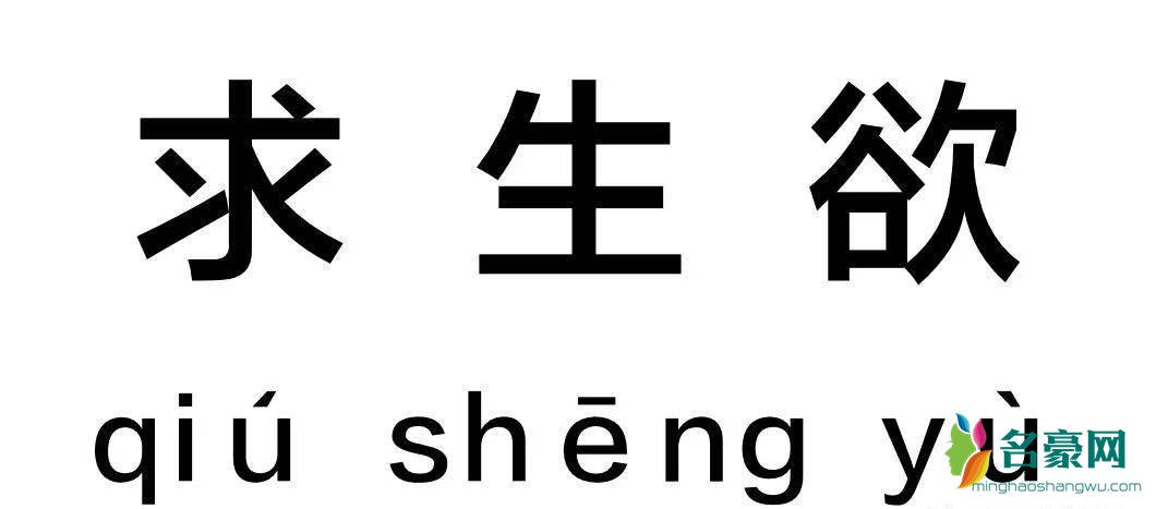 你求生欲很强是什么梗1