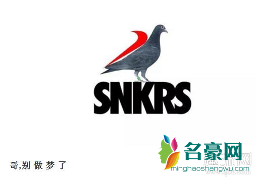 为什么SNKRS抢不到鞋 SNKRS抢不到鞋的表情包