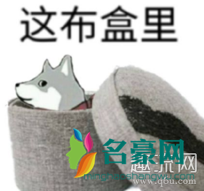 这合理吗什么梗 这合理吗表情包(图文)