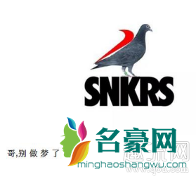 snkrs陪跑是什么意思 snkrs为什么总是陪跑