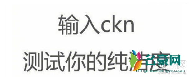 ckn是什么意思污的 输入ckn测试你的纯洁度准不准