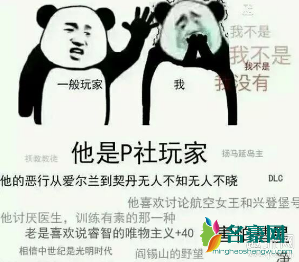 p社玩家是什么梗 p社玩家是什么游戏