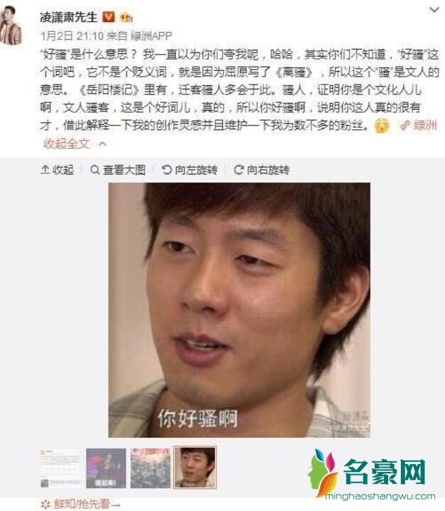 凌潇肃发文解释