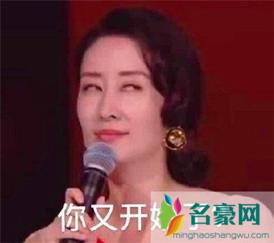 刘敏涛新鲜表情包出炉：拿什么去形容你最贴切9