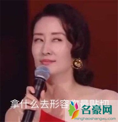 刘敏涛新鲜表情包出炉：拿什么去形容你最贴切2