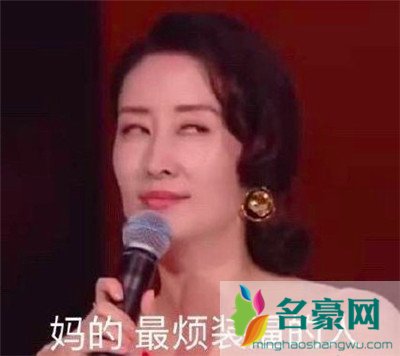 刘敏涛新鲜表情包出炉：拿什么去形容你最贴切7