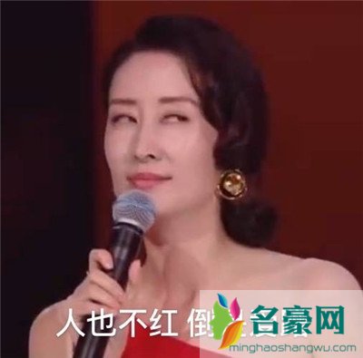 刘敏涛新鲜表情包出炉：拿什么去形容你最贴切5