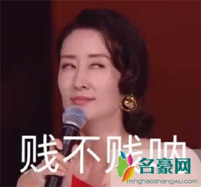 刘敏涛新鲜表情包出炉：拿什么去形容你最贴切3