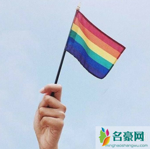 LGBTQ里的Q什么意思 LGBTQ为什么用彩虹色