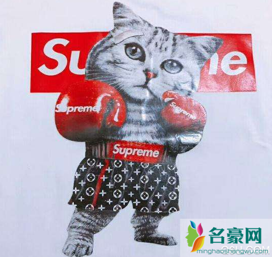 supreme是什么牌子 supreme中国有专卖店吗
