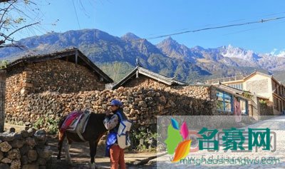 丽江网红夏夏个人资料简介 丽江网红夏夏怎么红的