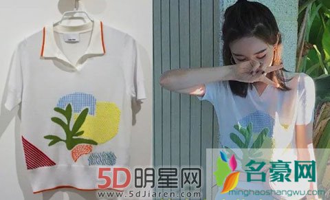 网红雪梨店铺的衣服是抄袭吗 抄袭还不道歉自称受害者？