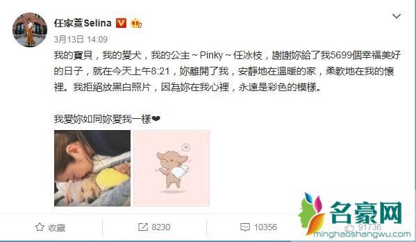 Selina发文