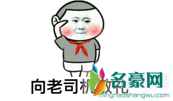 salute有致敬的意思吗 黄子韬敬礼salute什么梗