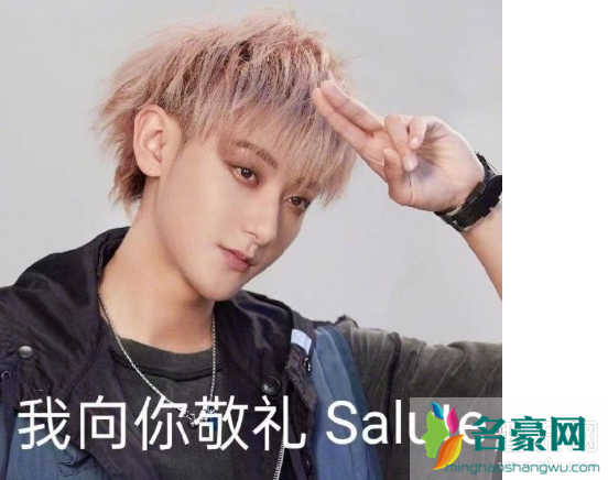 我向你敬礼salute什么梗什么意思 我向你敬礼salute表情包高清下载