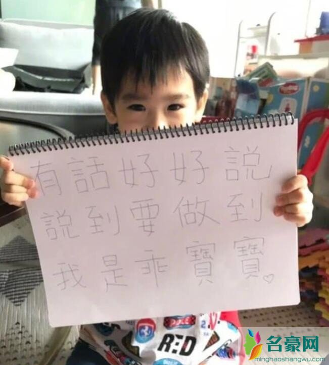 林志颖教儿子写汉字