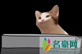 popcat什么梗 popcat表情包