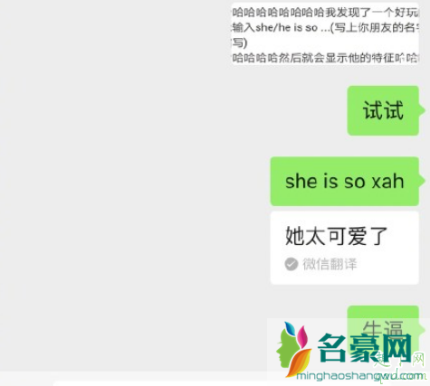 微信输入she is so为什么没有 输入she/he is so没有翻译怎么办2