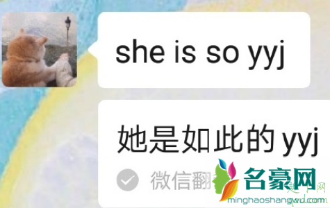 微信输入she is so为什么没有 输入she/he is so没有翻译怎么办1