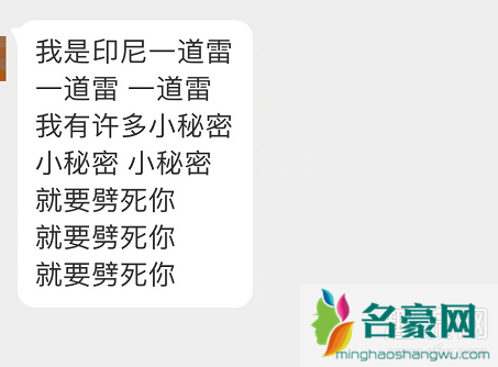 印尼的雷是什么梗 董子健印尼的雷是什么意思