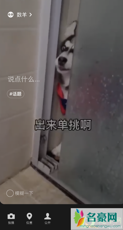 微信状态视频二哈怎么设置8