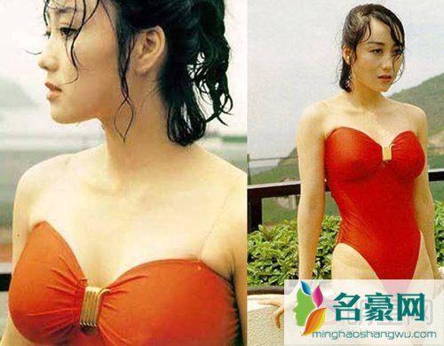 利智与李连杰有孩子吗 他俩生的女儿很漂亮,当过刘德华演唱会表演嘉宾