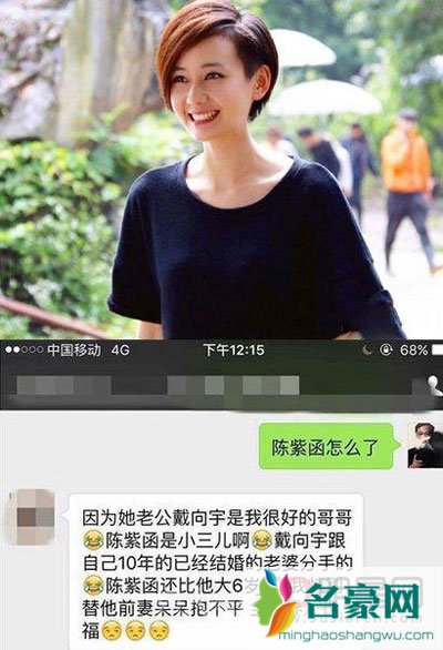 陈紫函老公戴向宇前妻是谁简介 戴向宇和前妻结婚照曝光