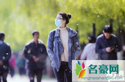 北京几月飞絮几月结束2020 一次性医用口罩可防护杨柳飞絮吗3