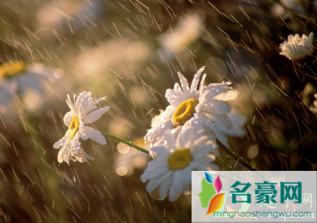 2021年上海梅雨季节几月份到几月份1