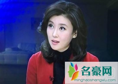 网传李红主持人的性丑绯闻真假? 李红美腿低胸图片+个人资料